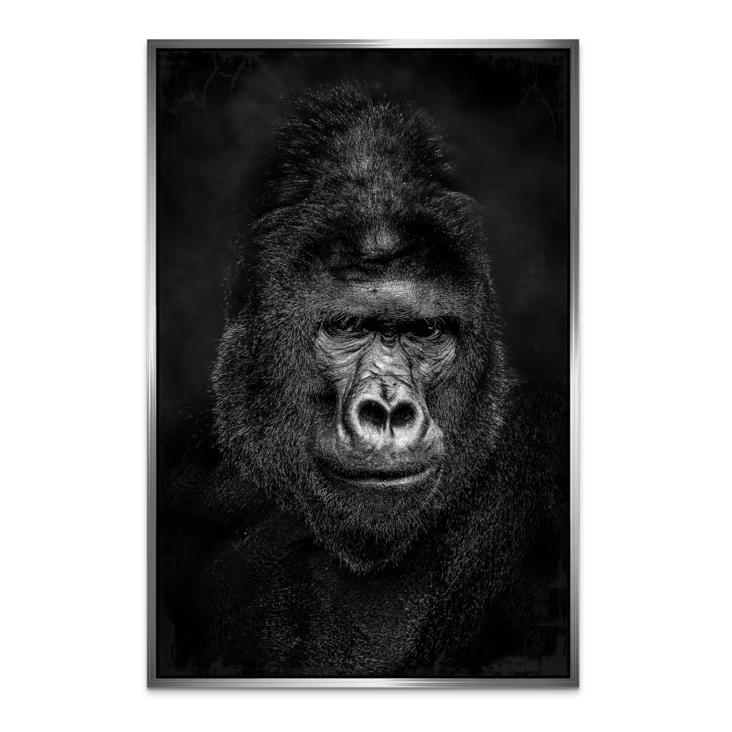 Gorilla Abstrakt Black Style AluDibond Gebürstet INGALERIE