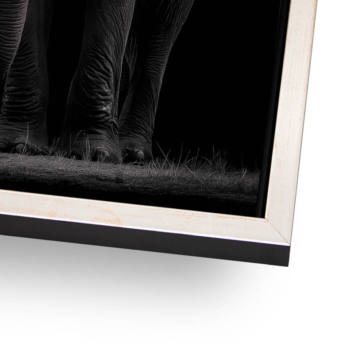 Black Elefant Aluminiumbild gebürstet