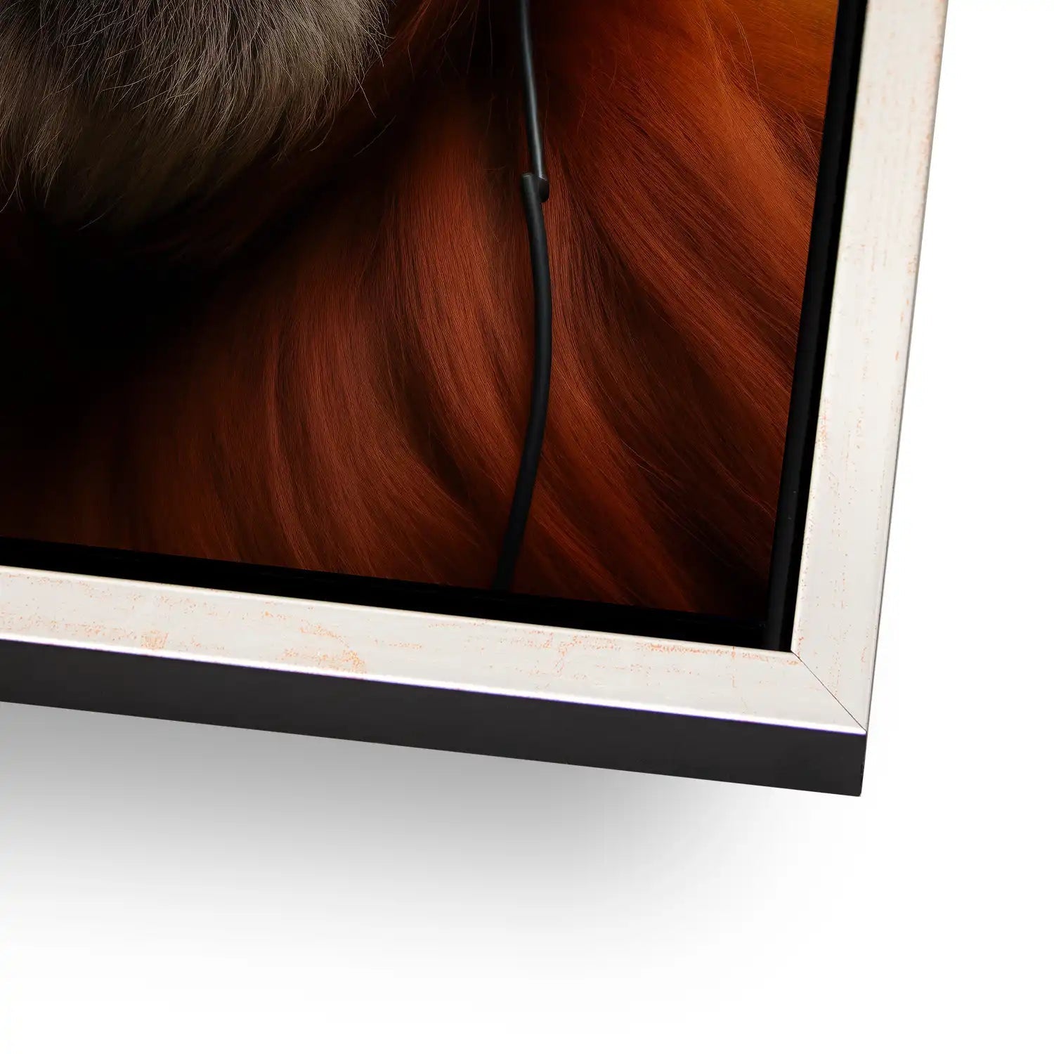 Music Monkey Aludibond Gebürstet - Alu Dibond Bild Gebürstet