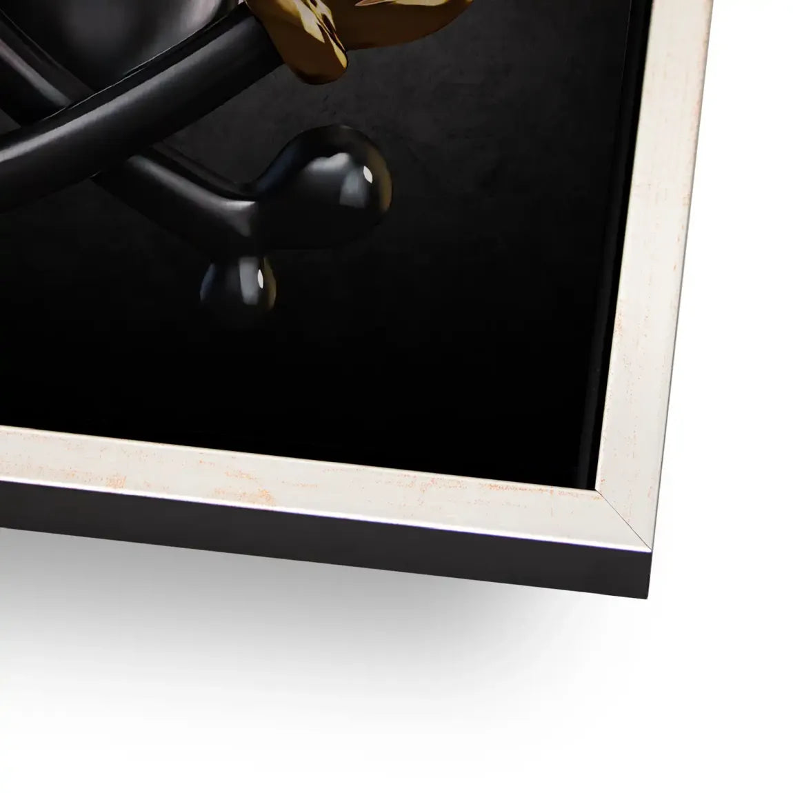 Dollar Vision Duck Alu Gebürstet Bild