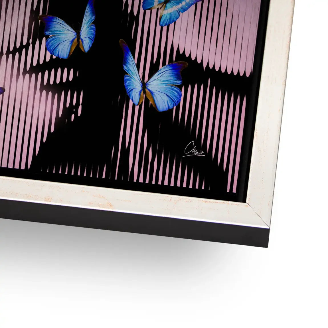 Silent Butterfly Aludibond Gebürstet INGALERIE