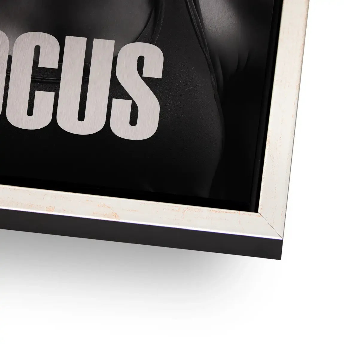 Focus Athletin Alu Gebürstet Bild