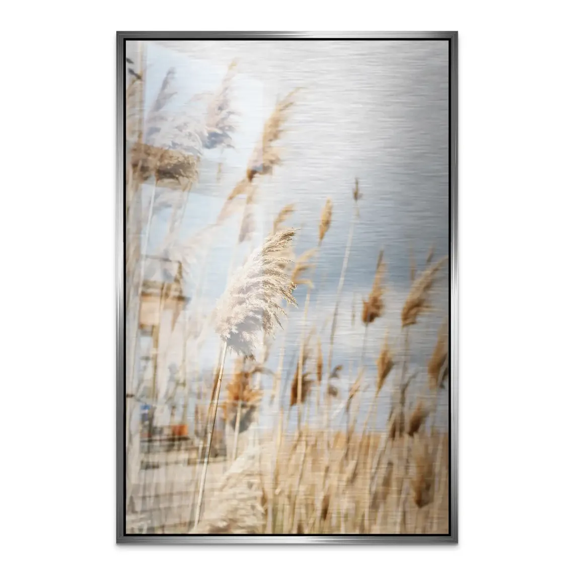 Whispering Reeds Alu Dibond Bild gebürstet - INGALERIE | Dein Onlineshop für moderne Wandbilder