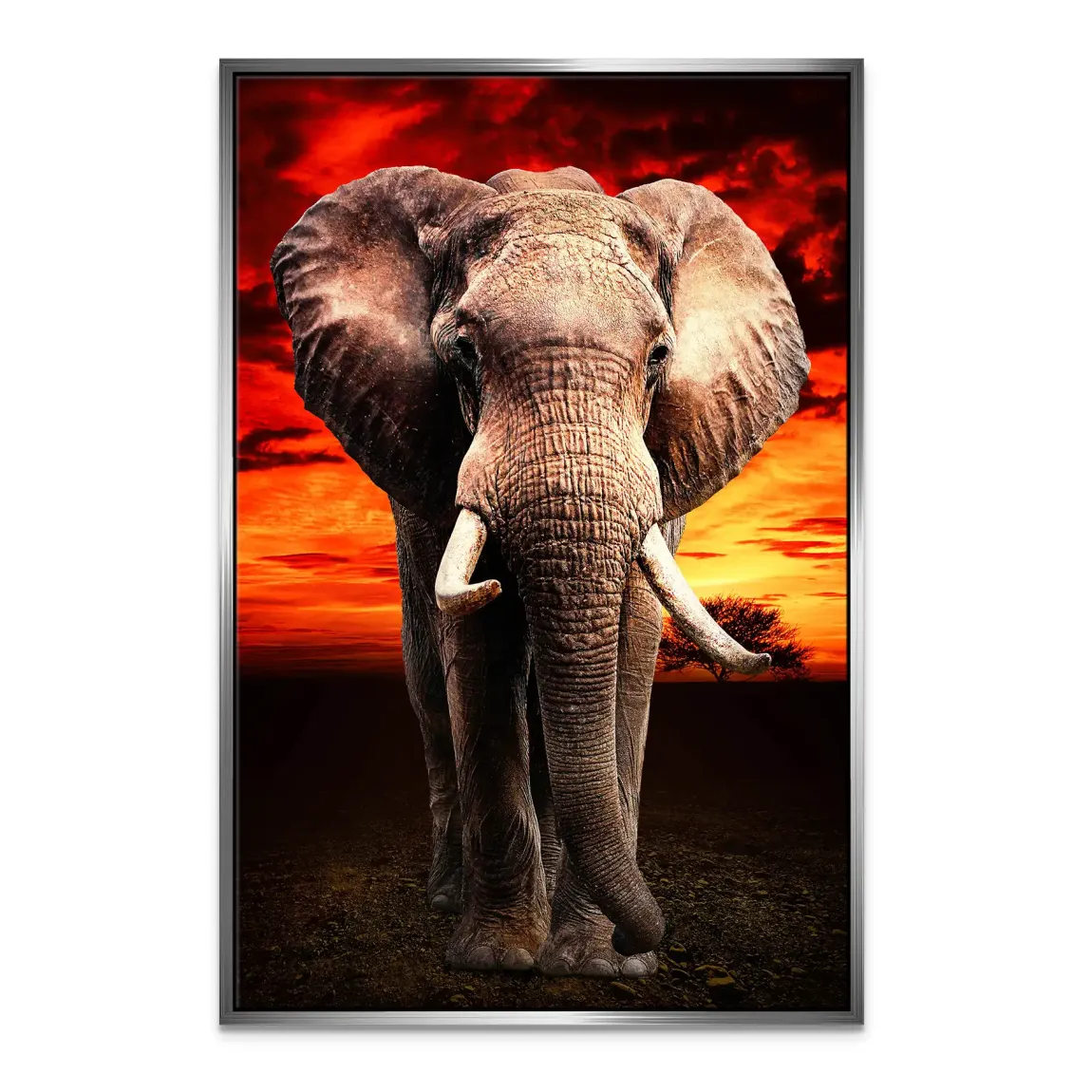 Majestät der Savanne im Abendrot Leinwand Bild INGALERIE