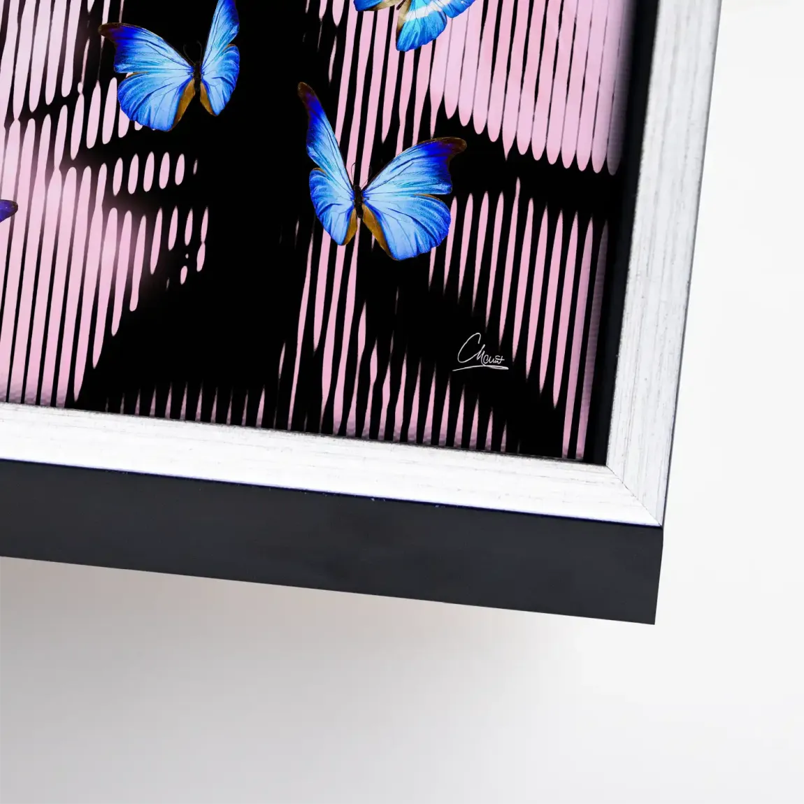 Silent Butterfly Leinwand Bild INGALERIE
