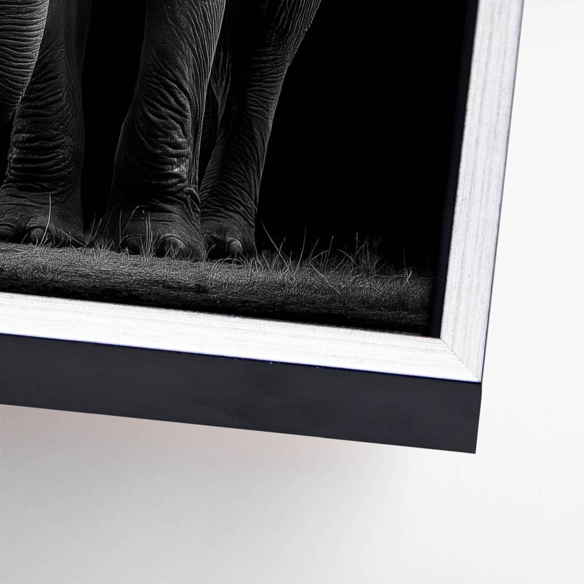 Black Elefant Leinwand Bild