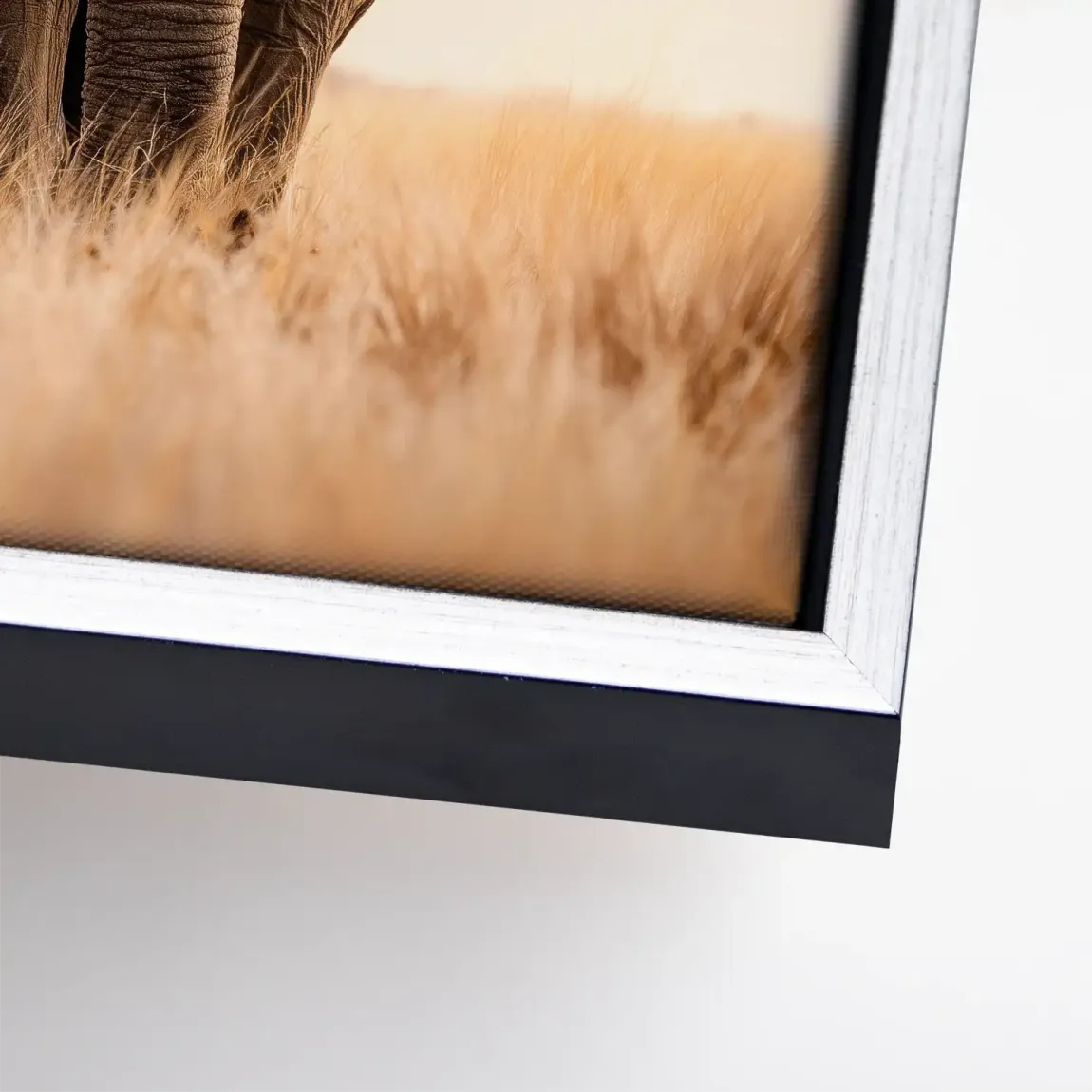 Savanne Elefant Leinwand Bild