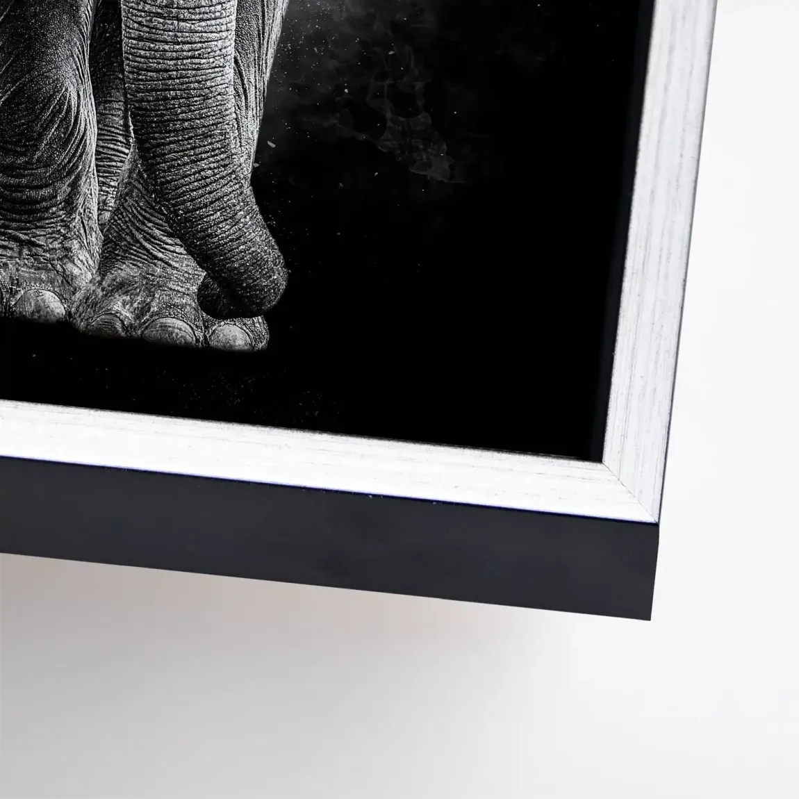 Elefant Noir Leinwand Bild
