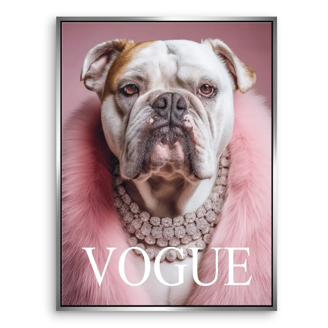 Bulldogge Vogue Leinwand Bild