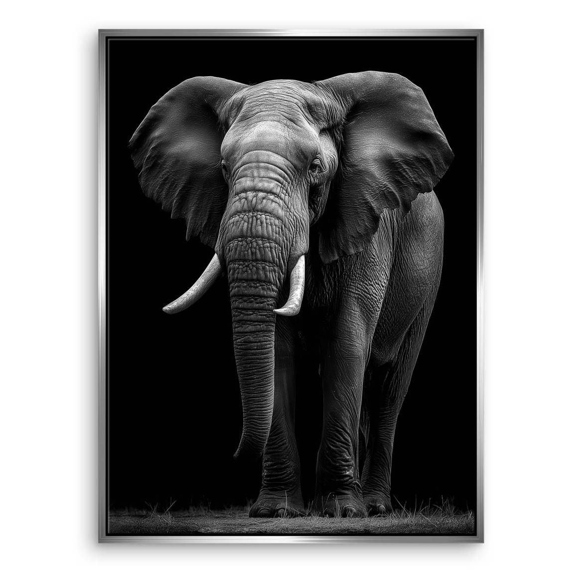 Black Elefant Leinwand Bild