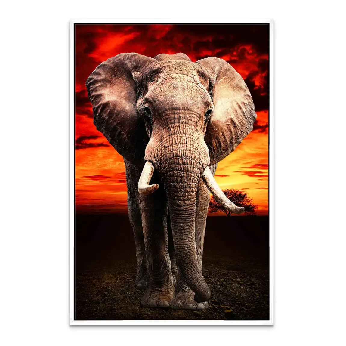 Majestät der Savanne im Abendrot Leinwand Bild INGALERIE