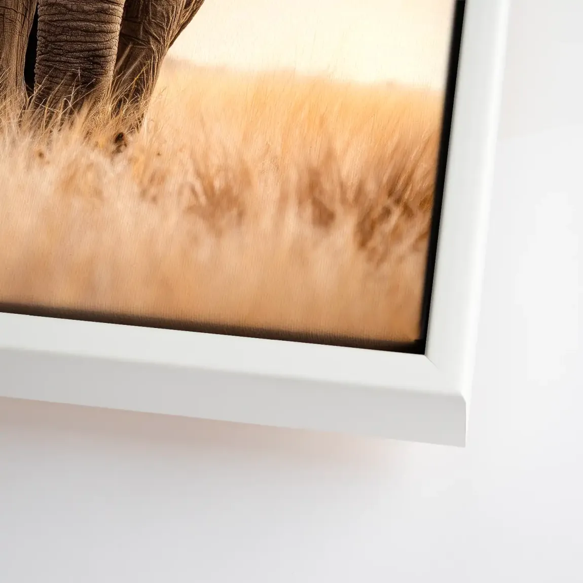 Savanne Elefant Leinwand Bild