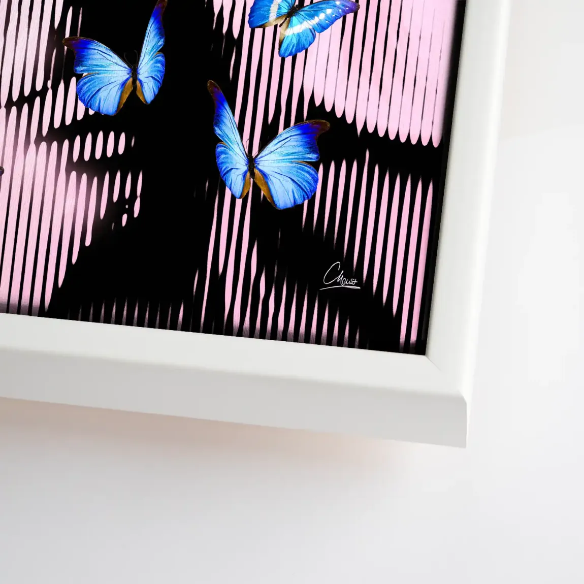 Silent Butterfly Leinwand Bild INGALERIE