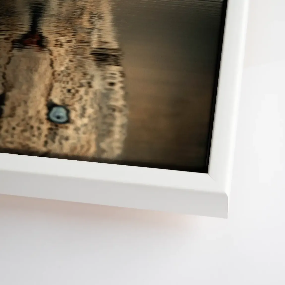 Silent Leopard Leinwand Bild