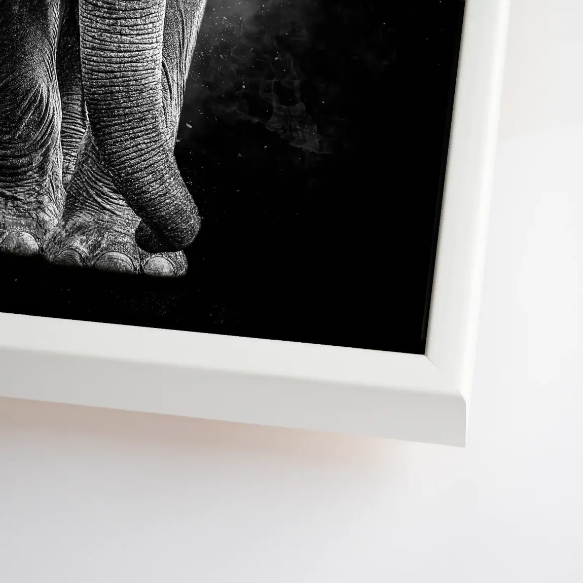 Elefant Noir Leinwand Bild
