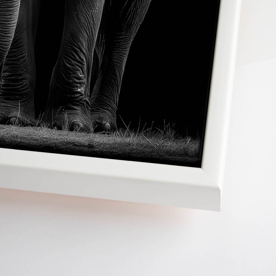Black Elefant Leinwand Bild