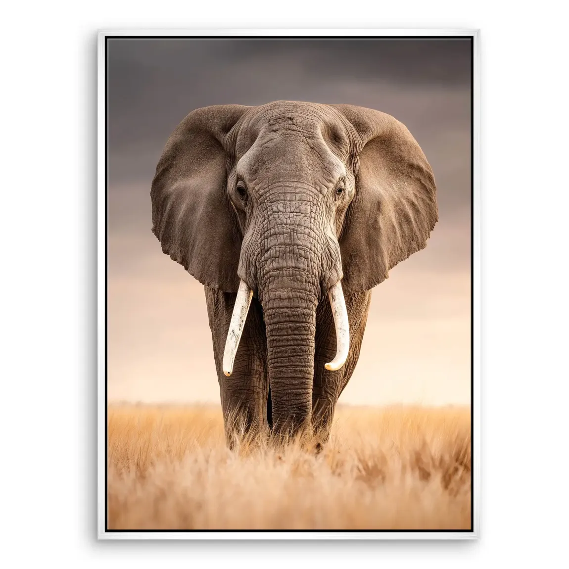 Savanne Elefant Leinwand Bild