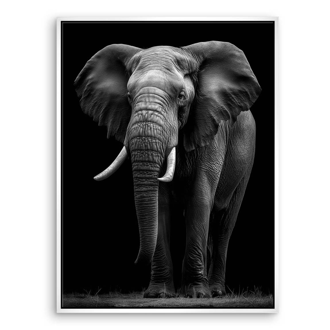 Black Elefant Leinwand Bild