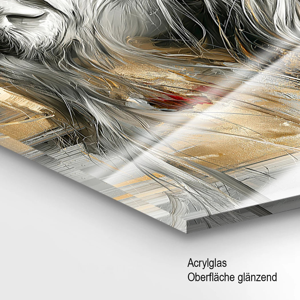 Highland Rind Gold Acrylglasbild