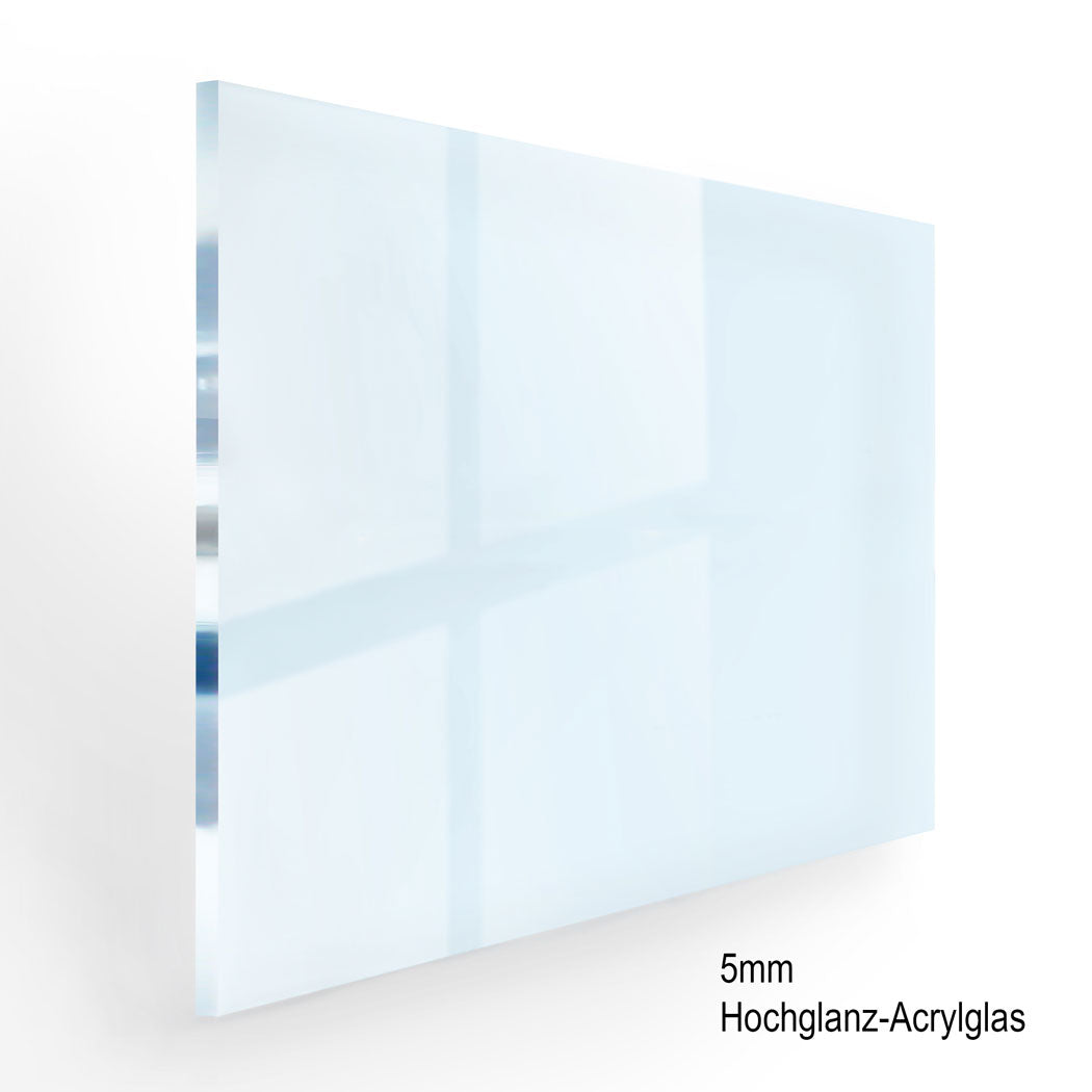 Dagobert Financial Times Acrylglas Bild