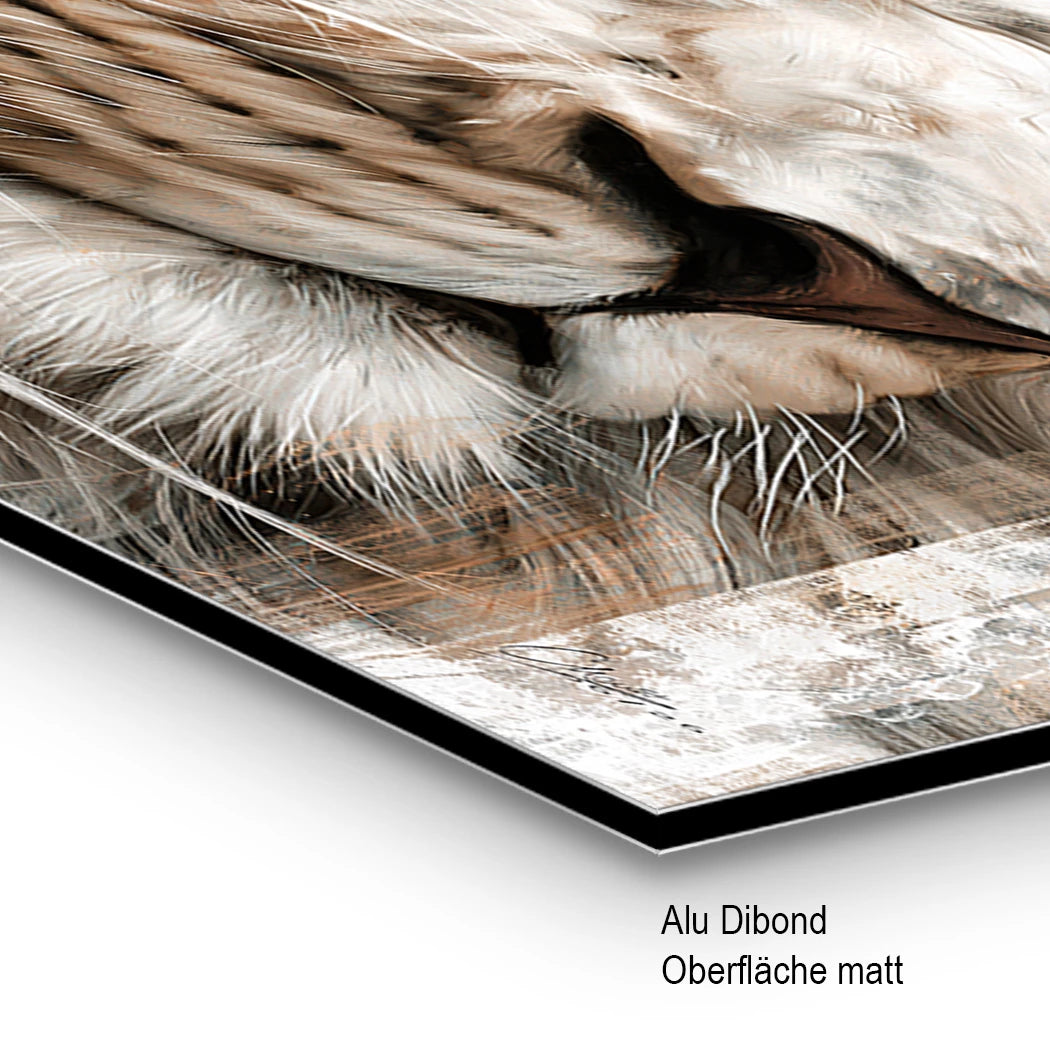Lion King Alu Dibond Wandbild