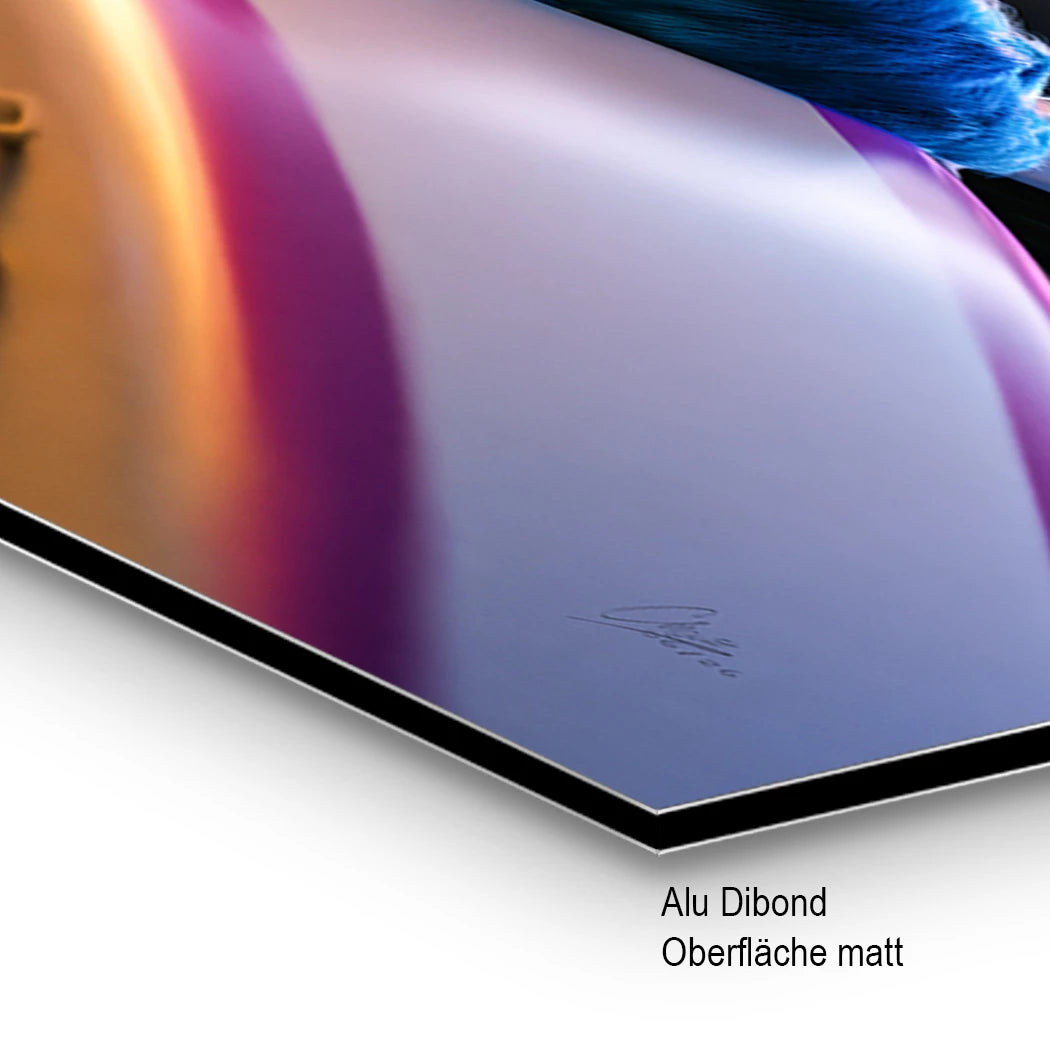Krümelmonster Grand Prix Alu Dibond Wandbild