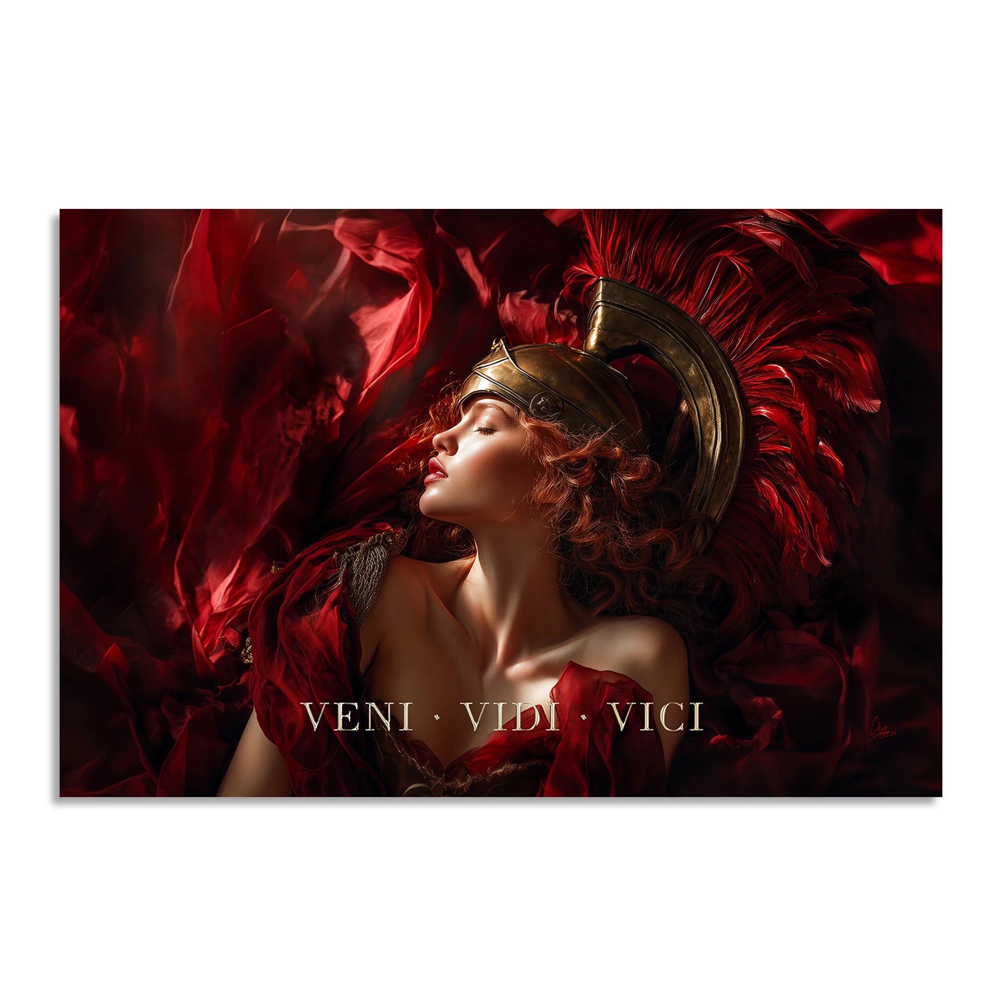 Veni Vidi Vici AluDibond Wandbild