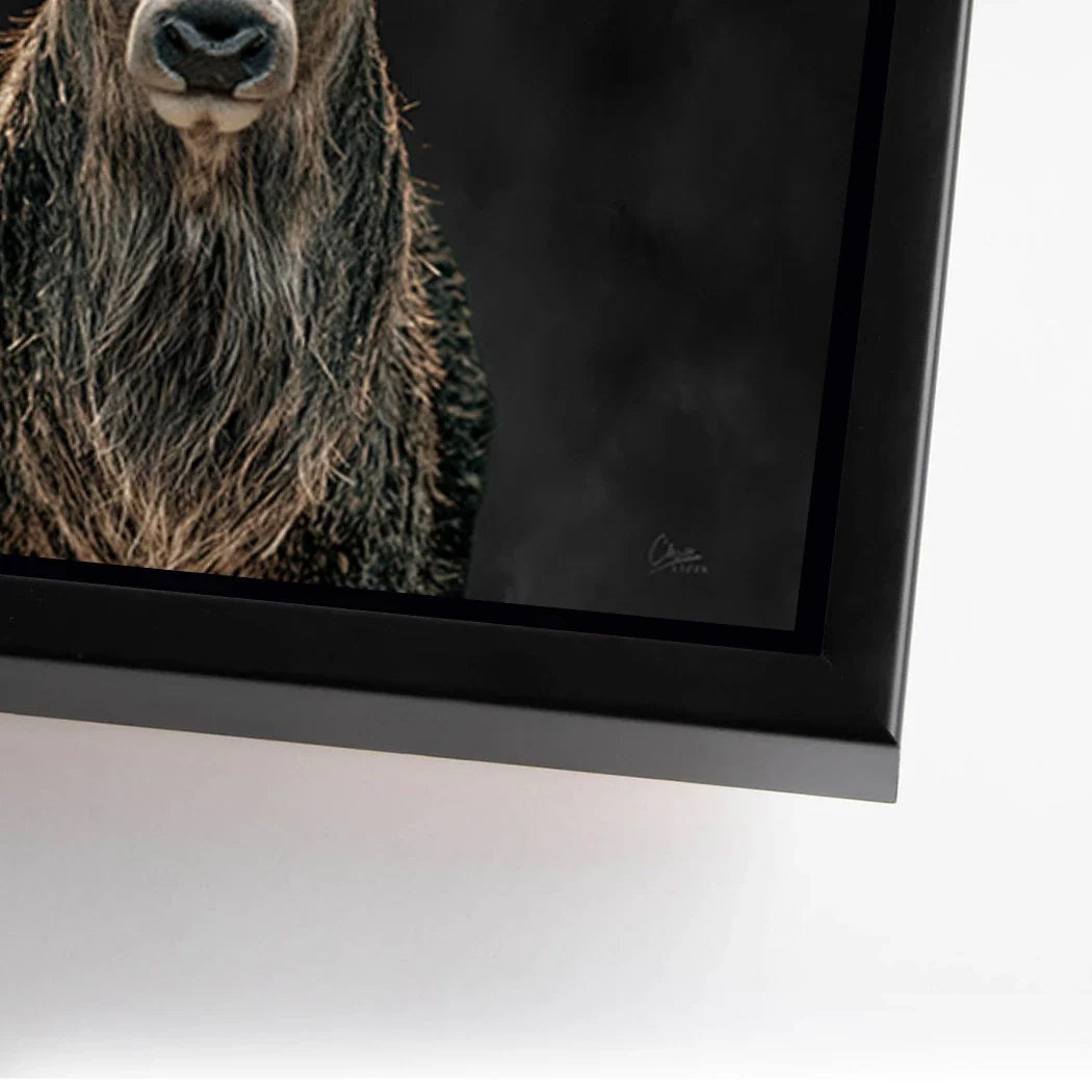 Hirsch Royal Art Alu Dibond Wandbild