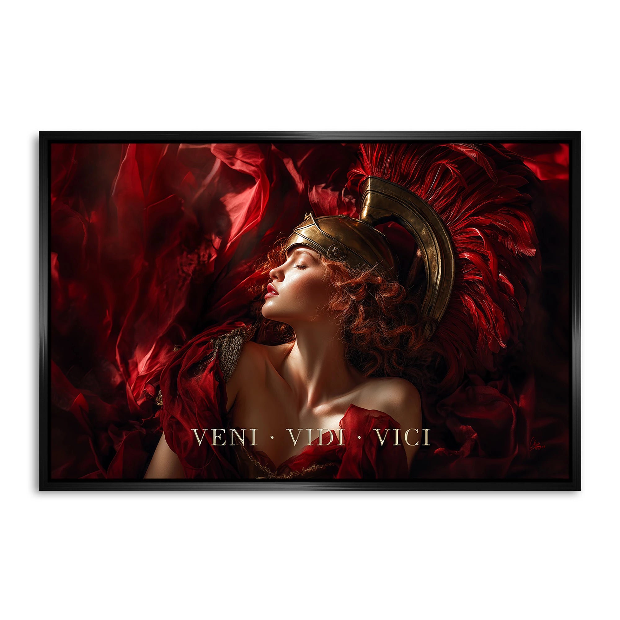 Veni Vidi Vici AluDibond Wandbild