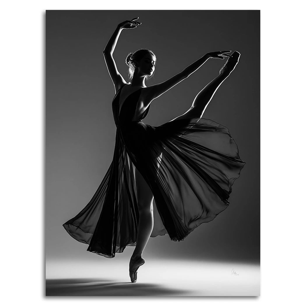 Ballerina Schattenpoesie Alu Dibond Wandbild