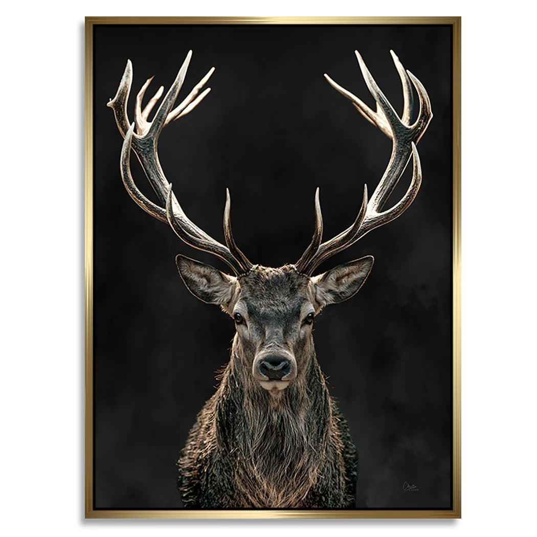Hirsch Black Art Alu Dibond Wandbild