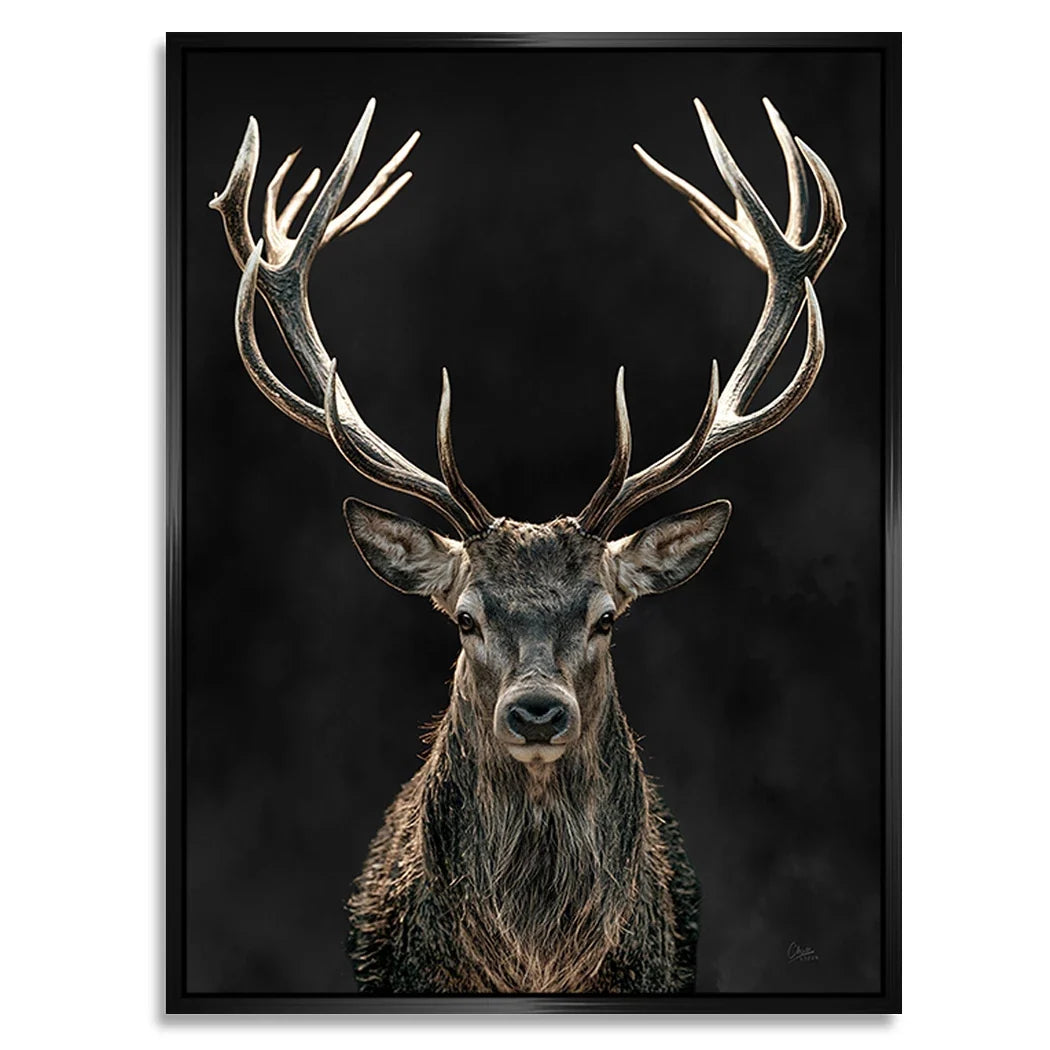 Hirsch Royal Art Alu Dibond Wandbild