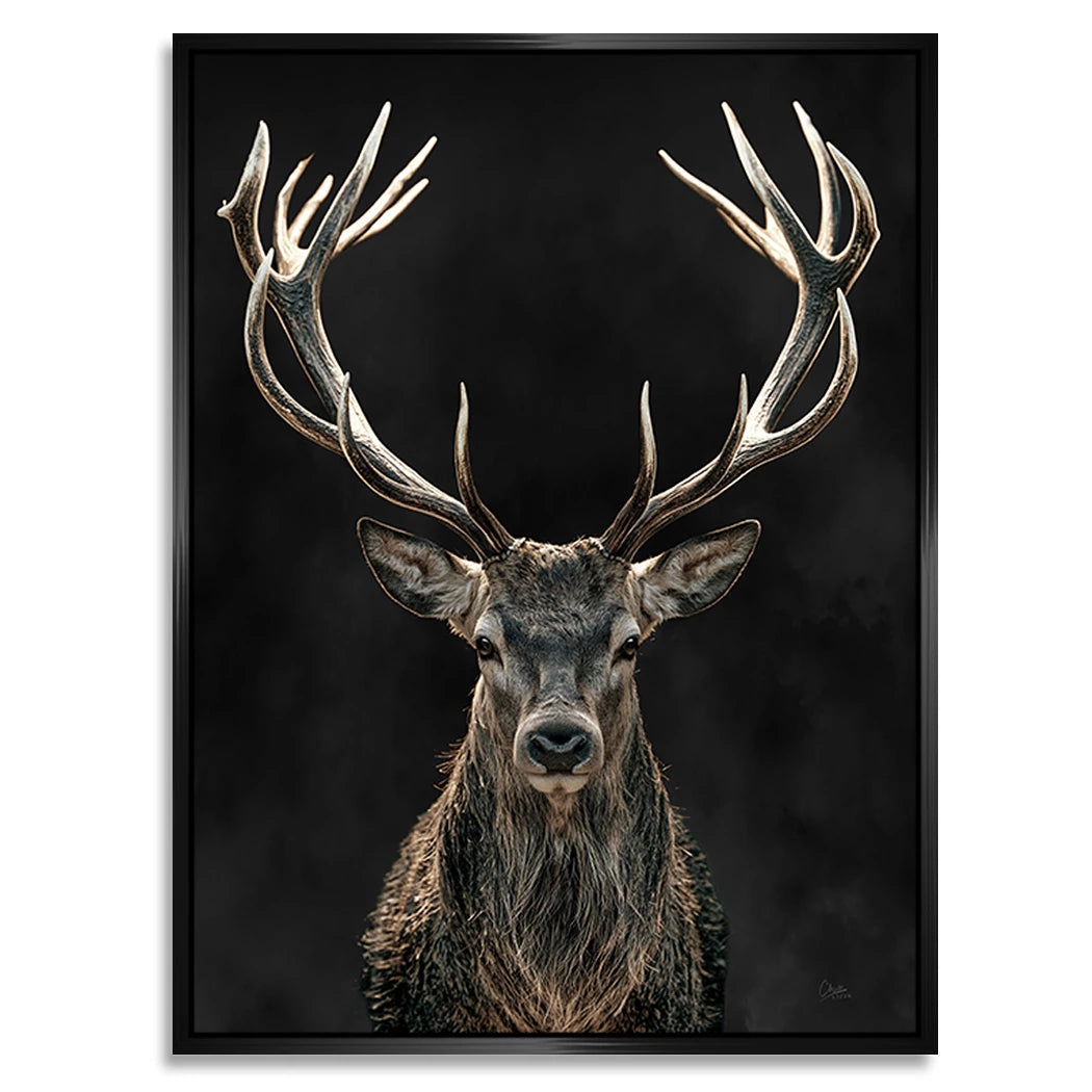 Hirsch Black Art Alu Dibond Wandbild