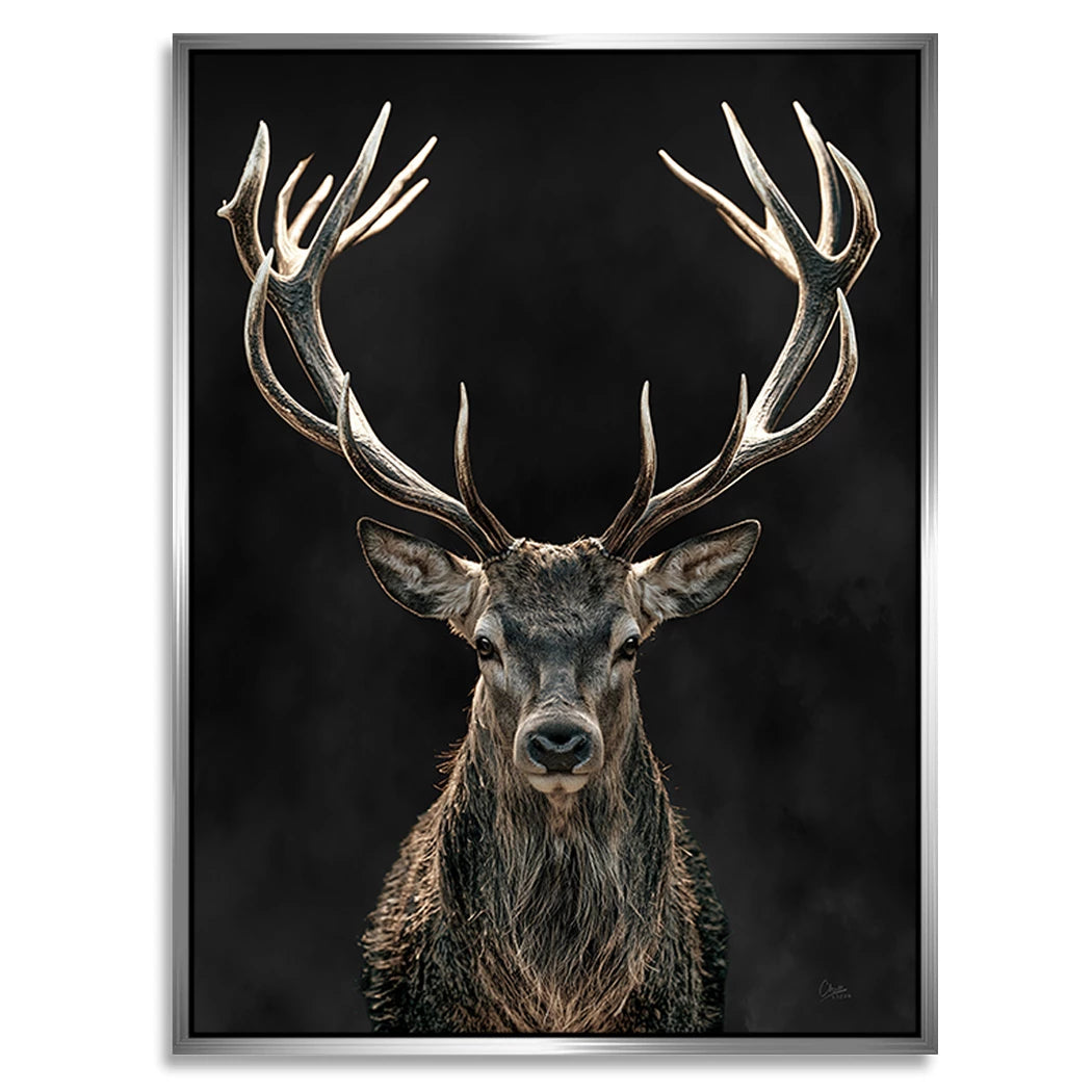 Hirsch Black Art Alu Dibond Wandbild