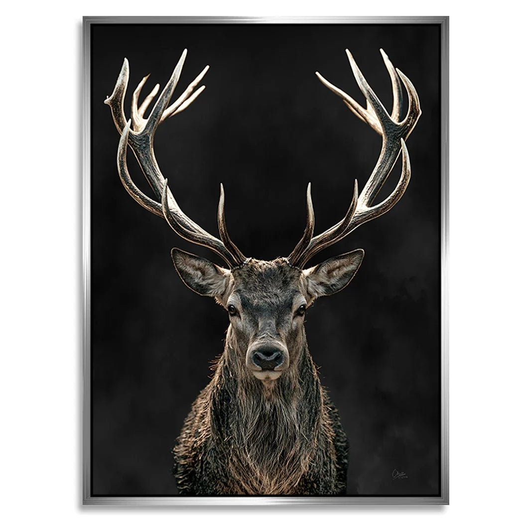 Hirsch Royal Art Alu Dibond Wandbild
