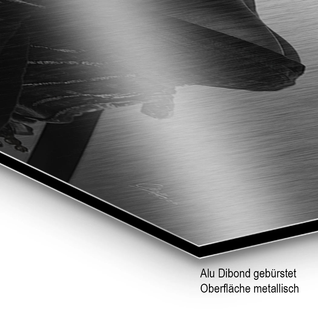 Samurai Diva Aluminiumbild gebürstet