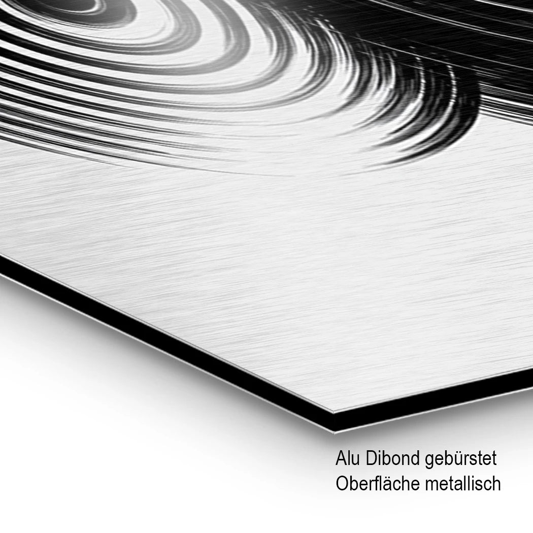Spiral Harmonie Aluminiumbild gebürstet