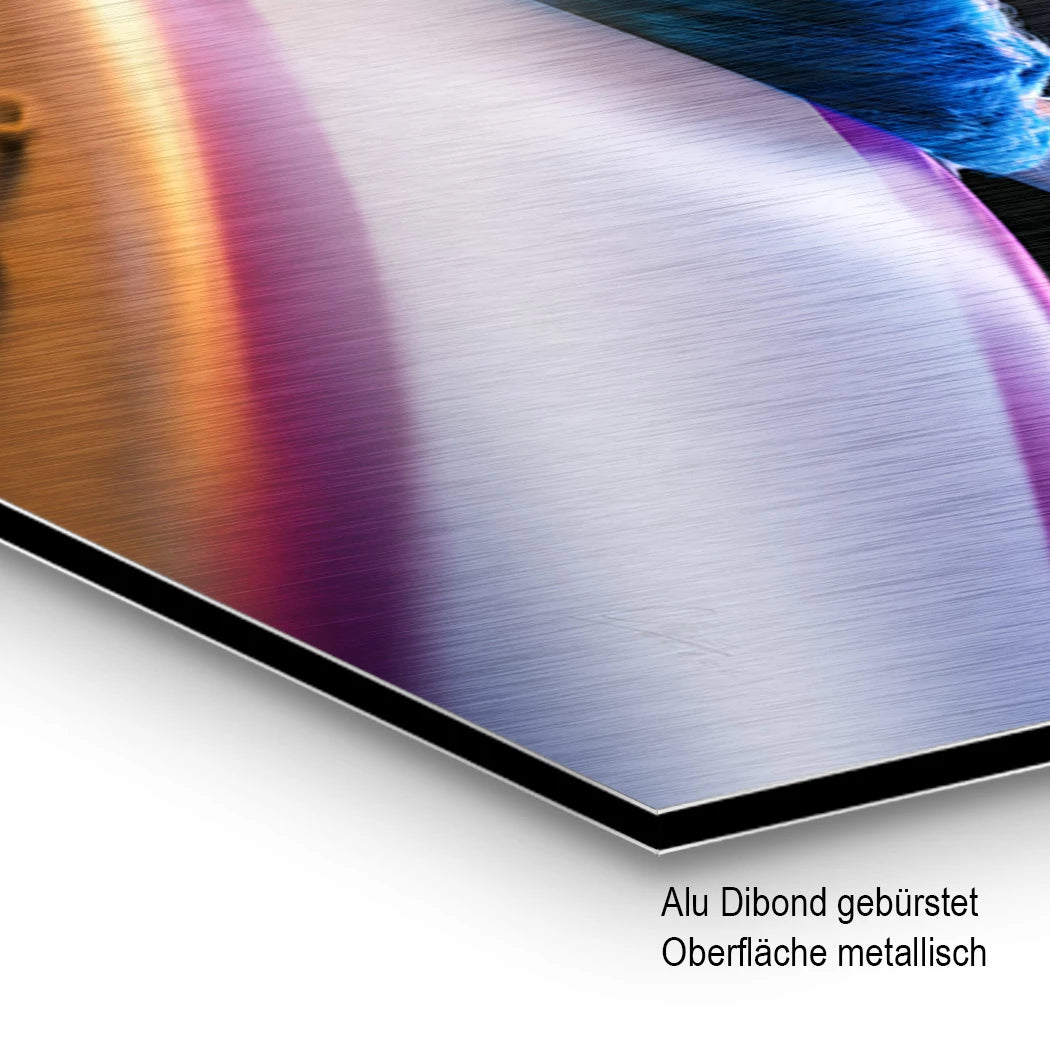Krümelmonster Grand Prix Aluminiumbild gebürstet