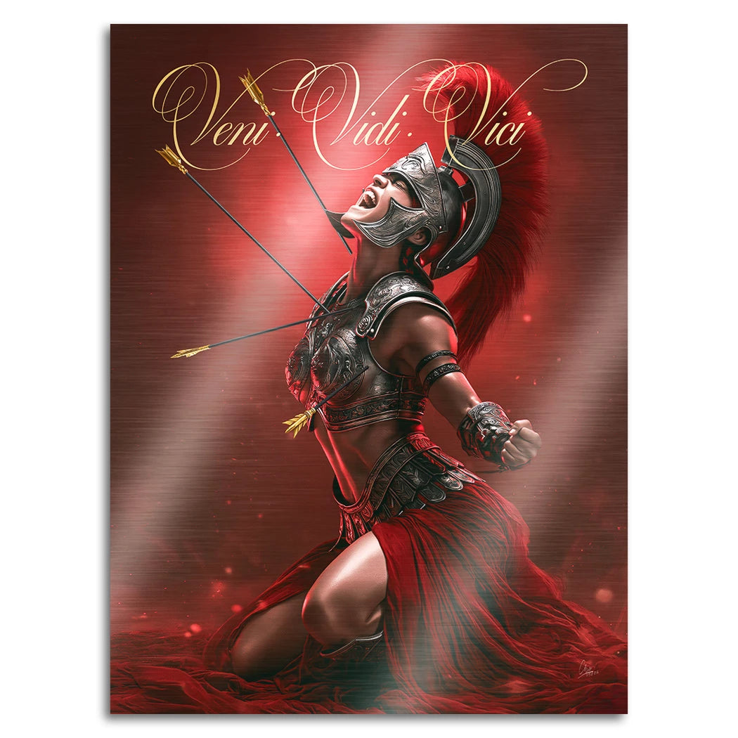 Veni Vidi Vici Gladiatorin Aluminiumbild gebürstet