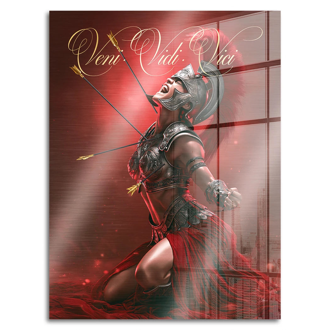 Veni Vidi Vici Gladiatorin Aluminiumbild gebürstet
