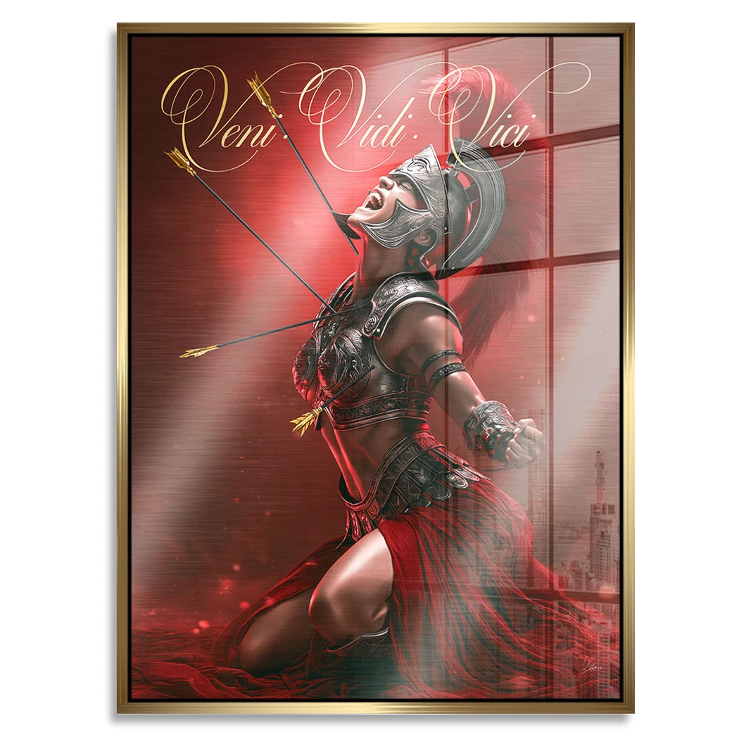Veni Vidi Vici Gladiatorin Aluminiumbild gebürstet