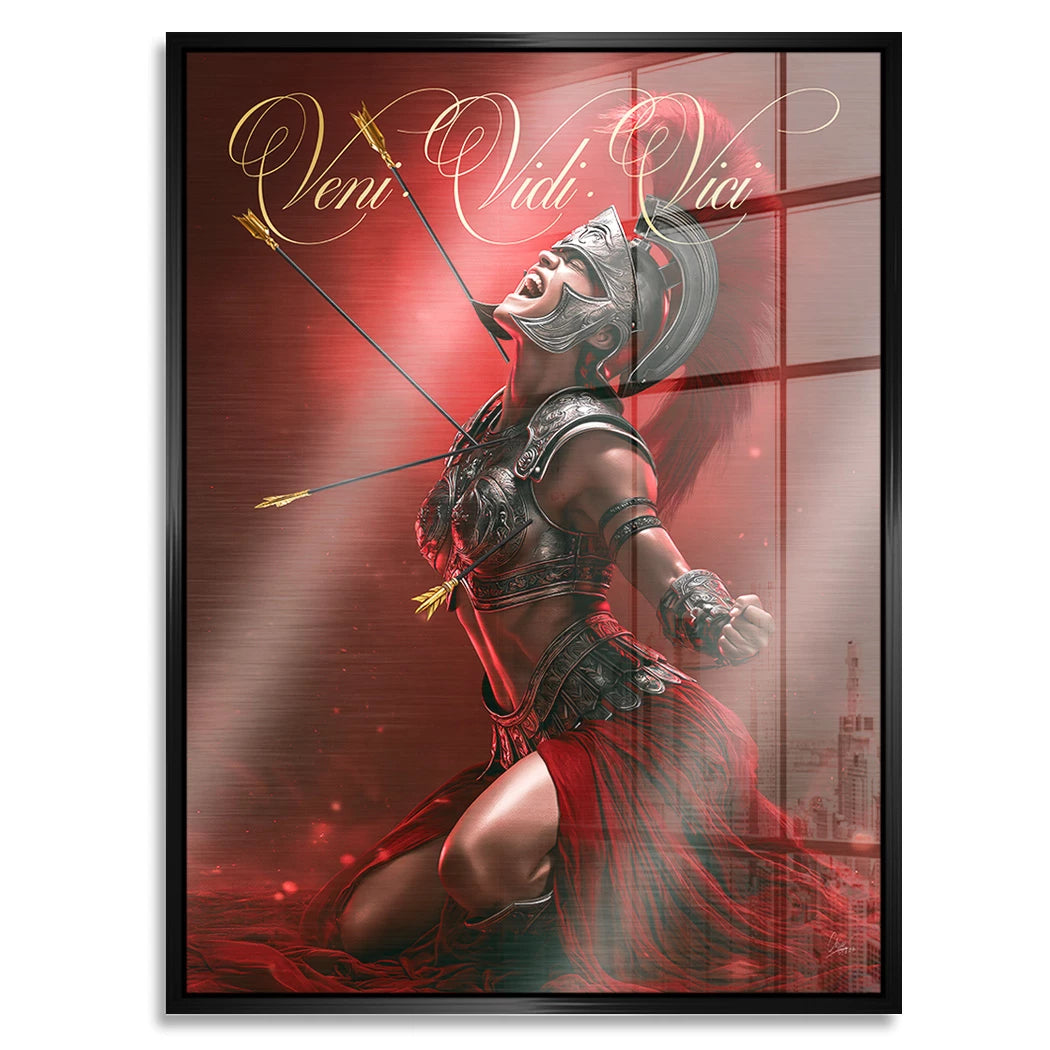 Veni Vidi Vici Gladiatorin Aluminiumbild gebürstet