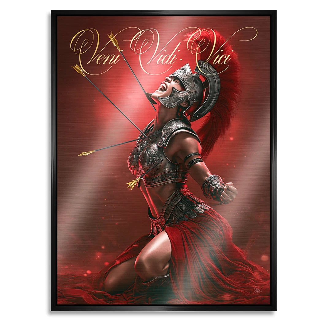 Veni Vidi Vici Gladiatorin Aluminiumbild gebürstet