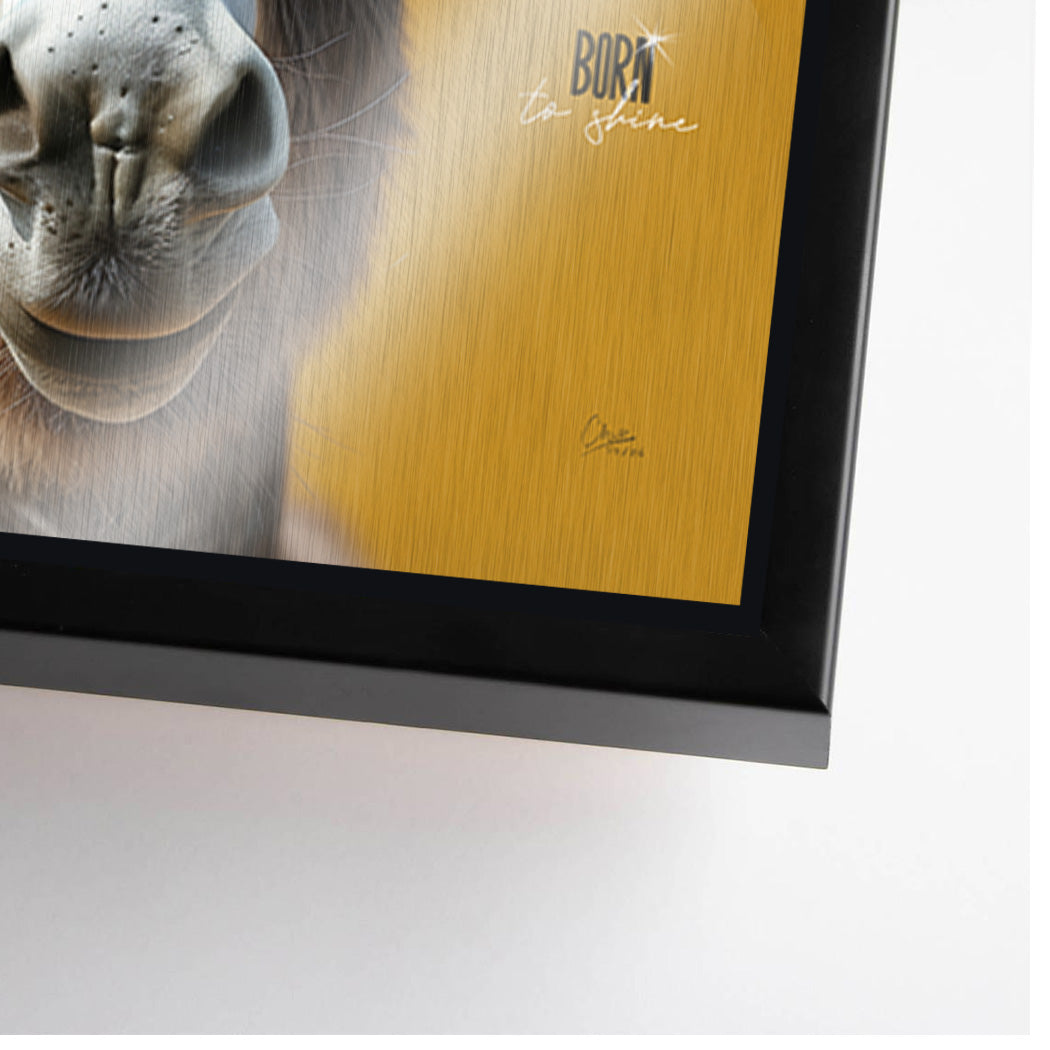 Esel Vogue Aluminiumbild gebürstet