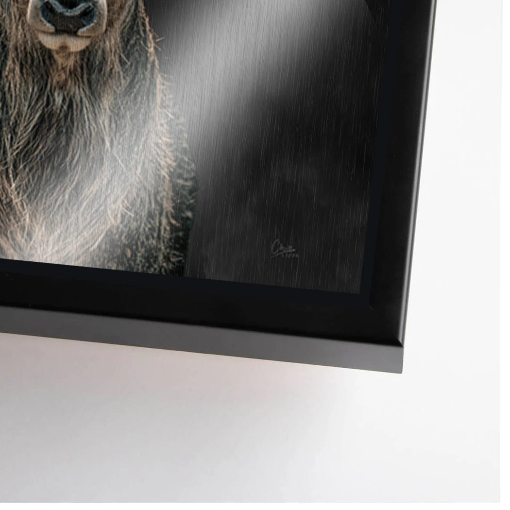 Hirsch Black Art Aluminiumbild gebürstet