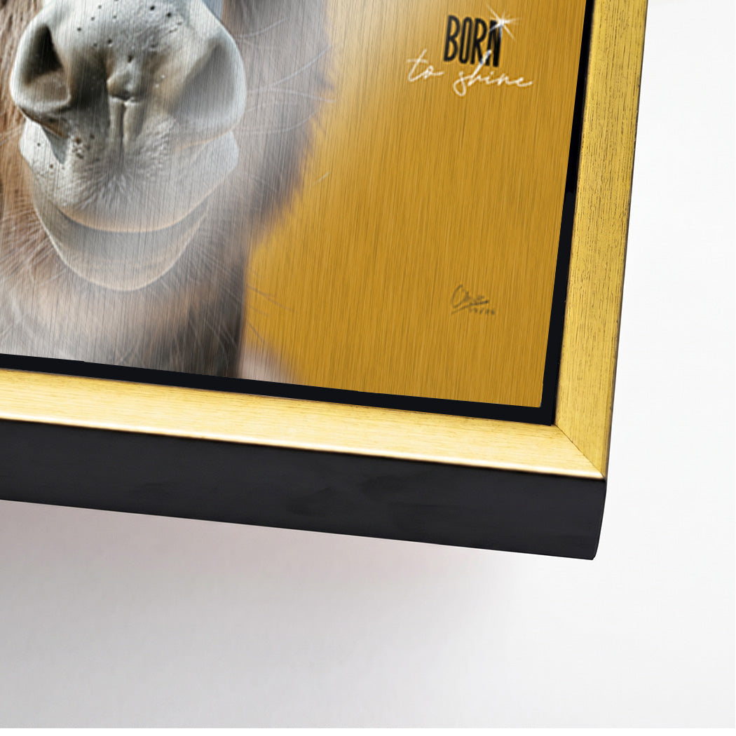 Esel Vogue Aluminiumbild gebürstet
