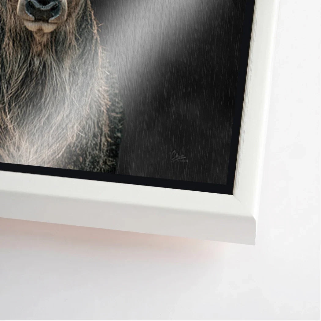 Hirsch Royal Art Aluminiumbild gebürstet