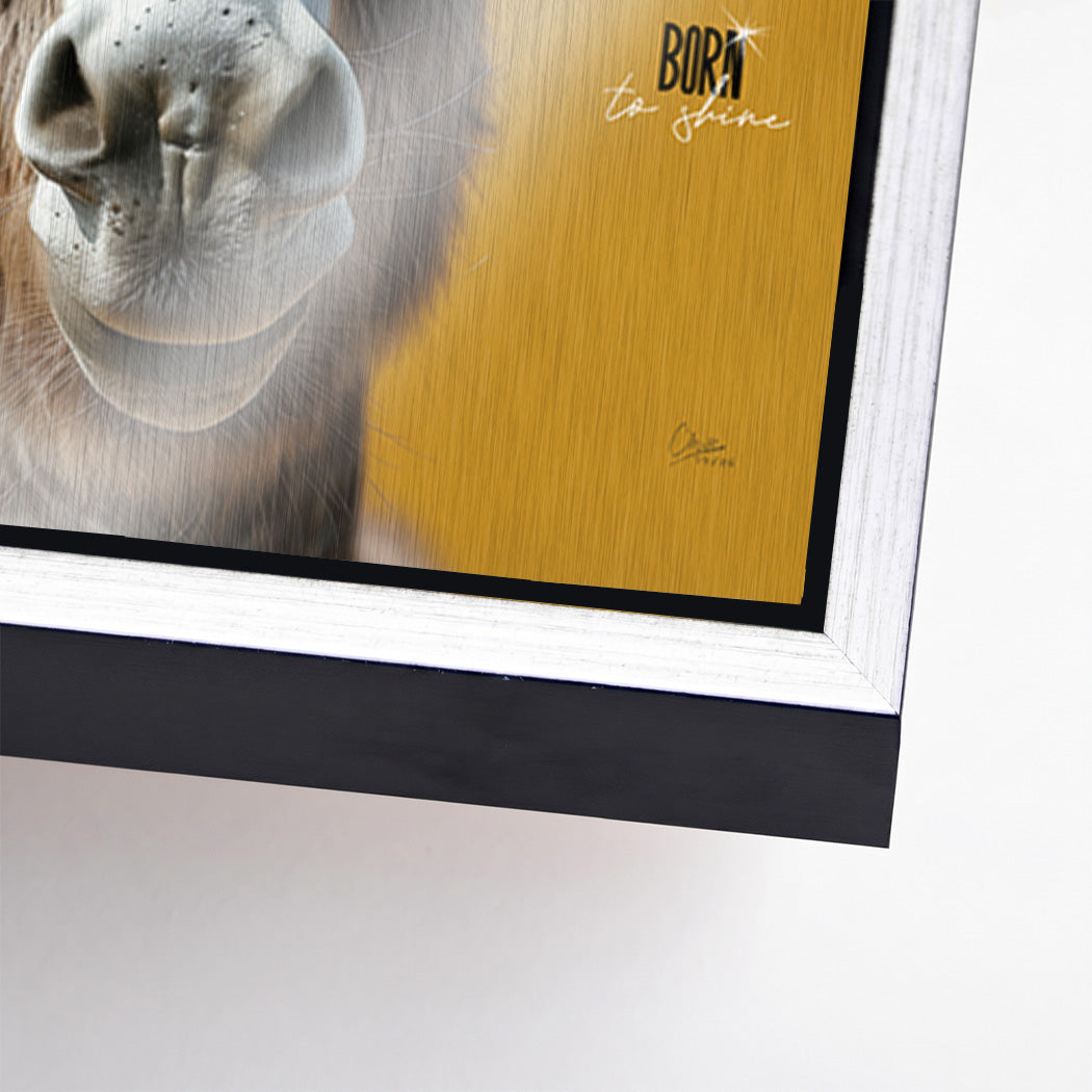 Esel Vogue Aluminiumbild gebürstet