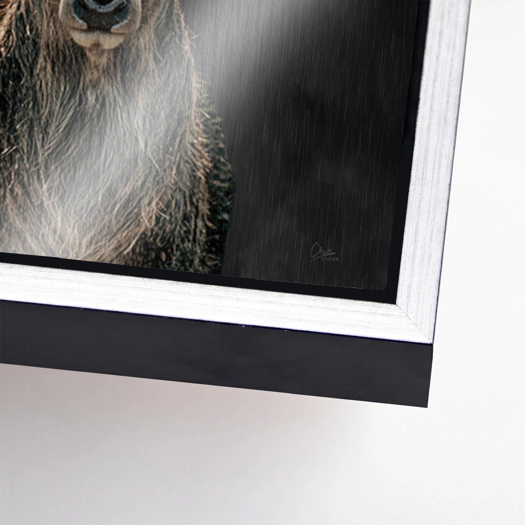 Hirsch Black Art Aluminiumbild gebürstet