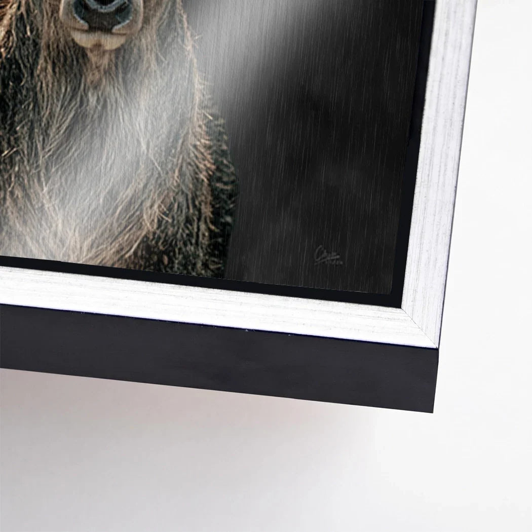 Hirsch Royal Art Aluminiumbild gebürstet